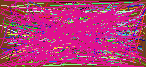 email look up