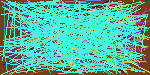 phone number lookup